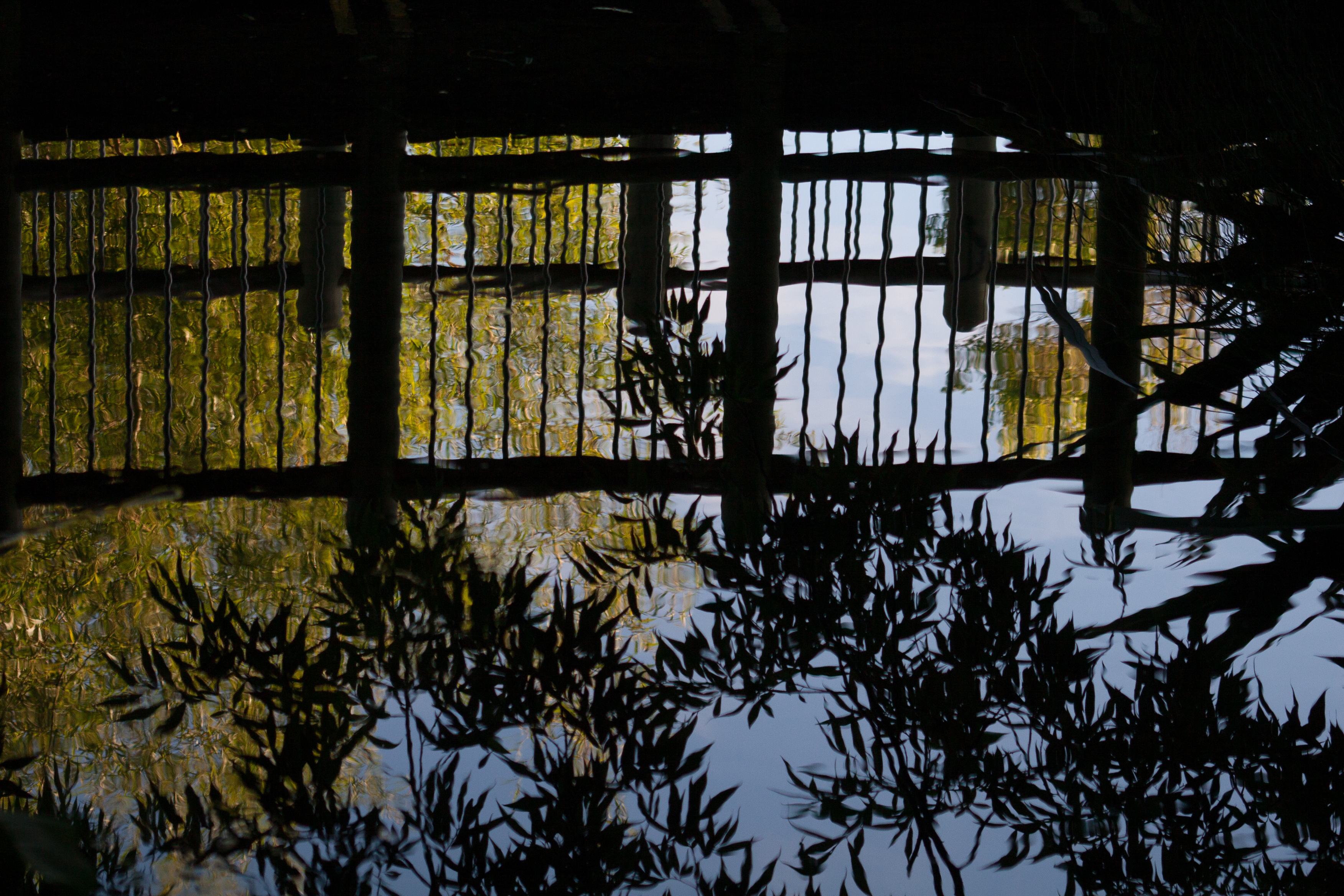 reflections in the stream