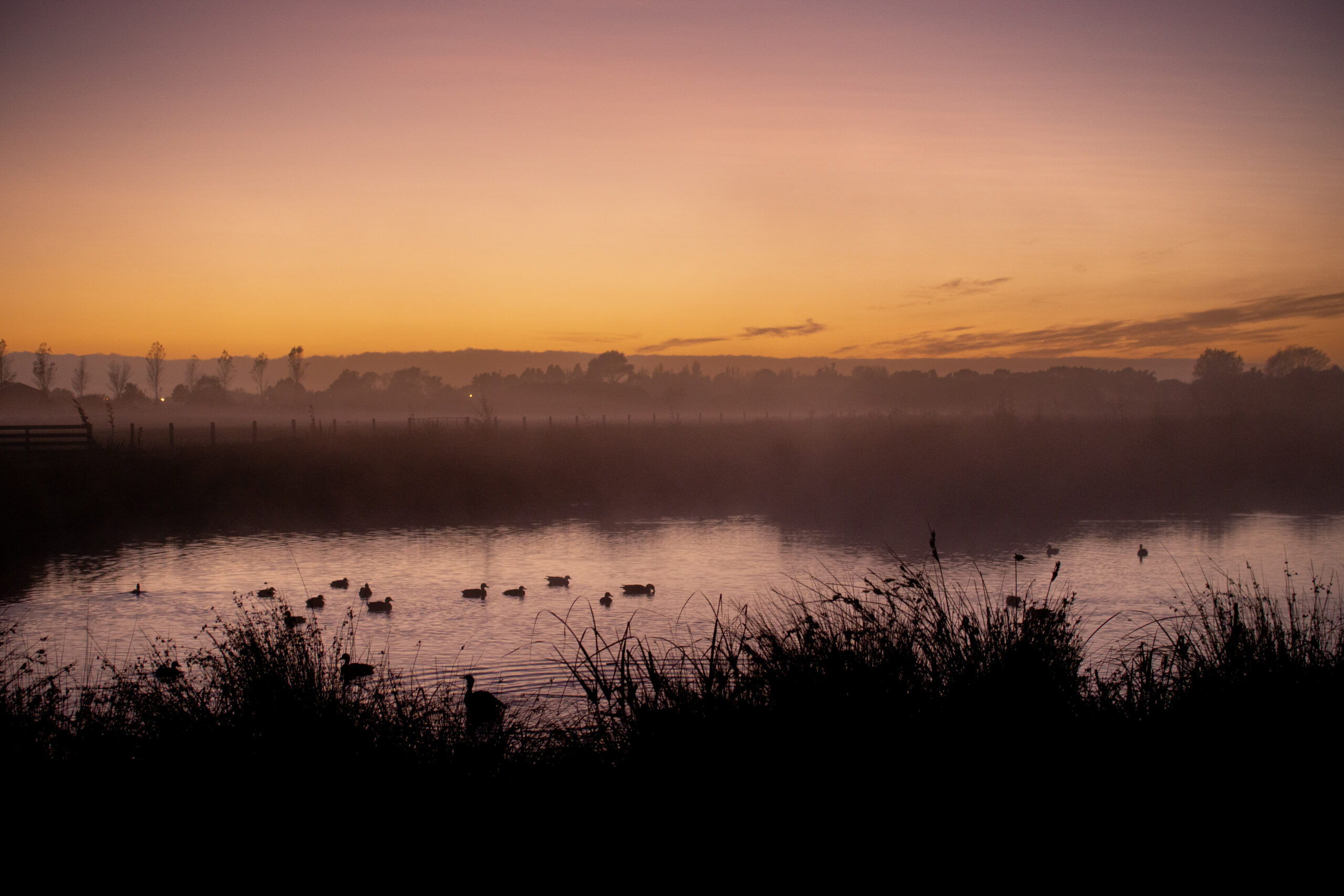 ripples