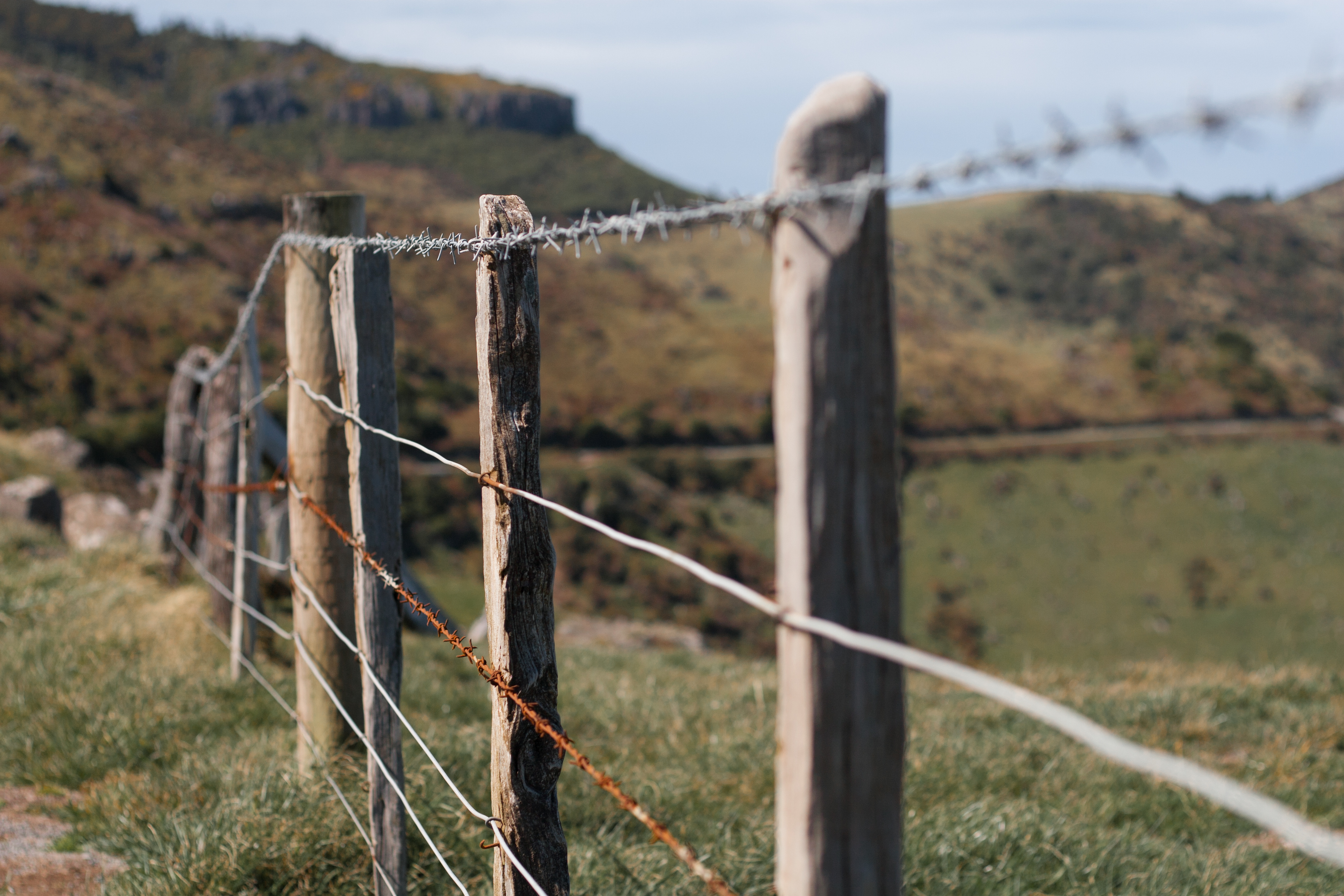 rusted center line