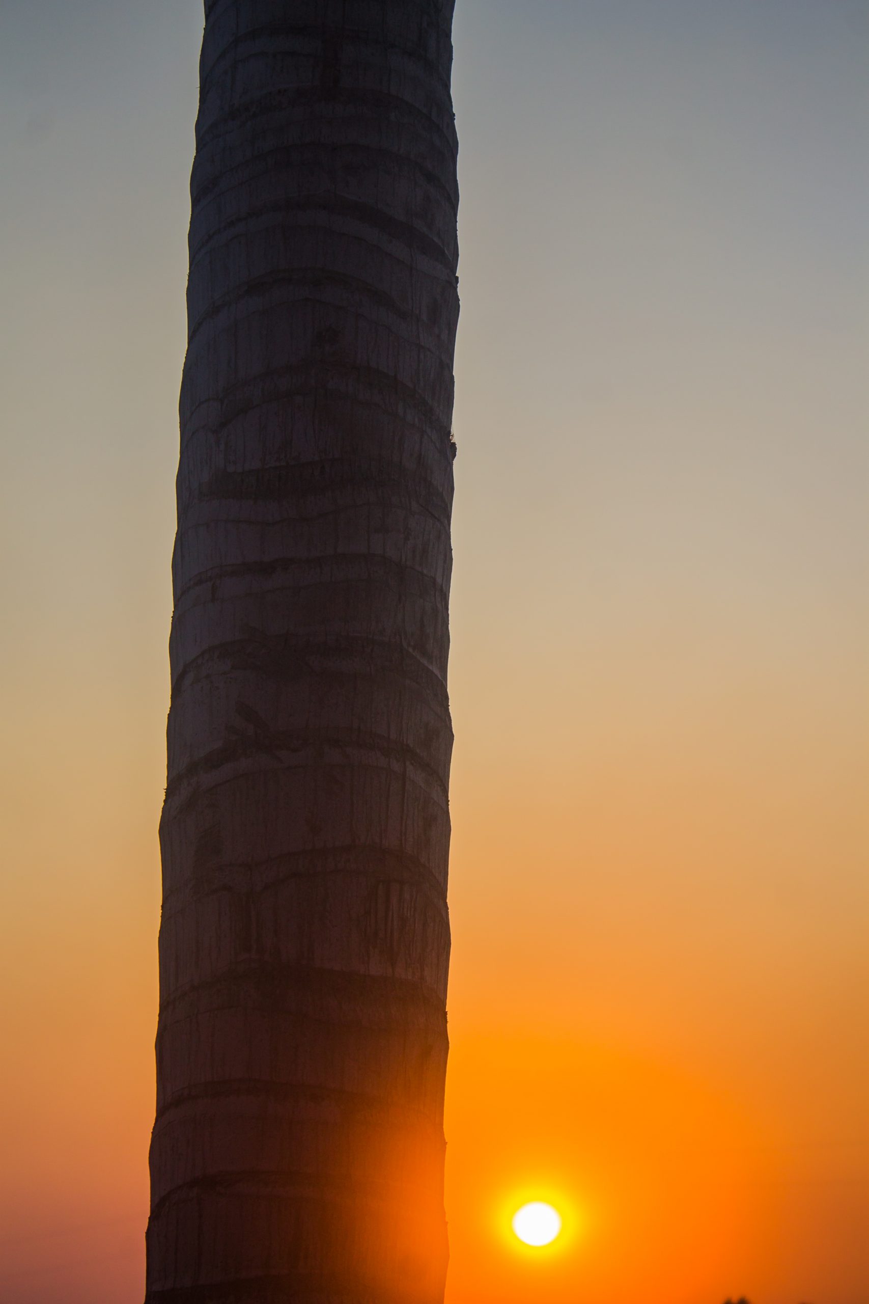 setting sun
