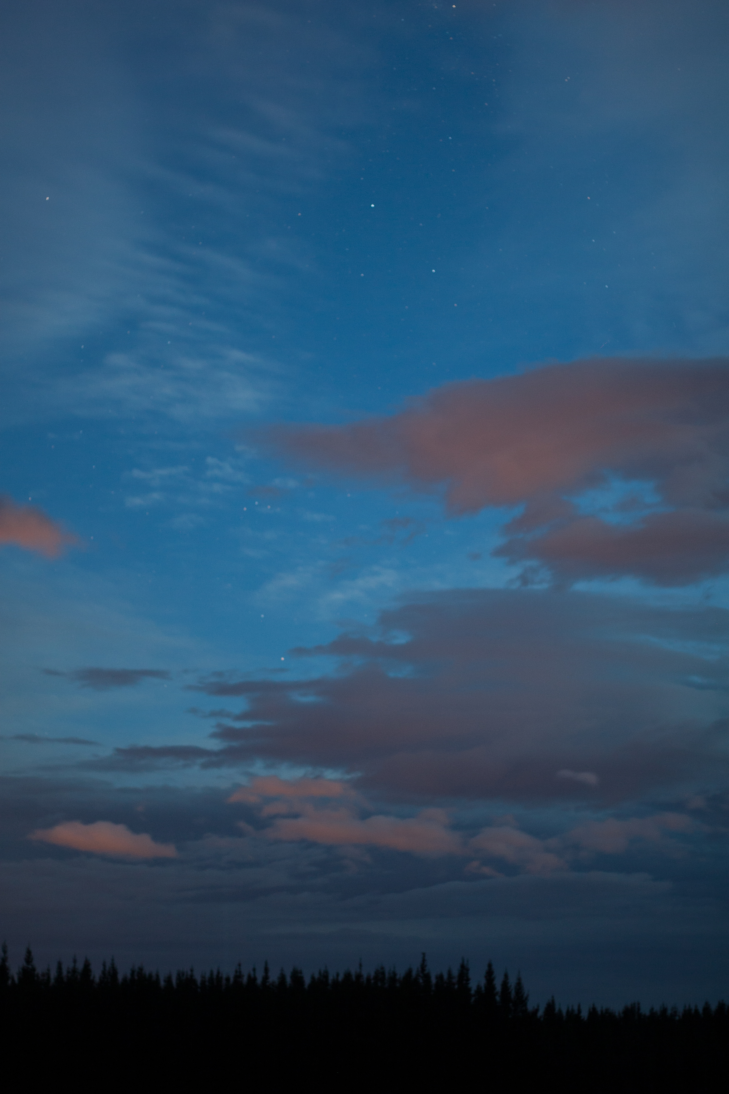 starry day