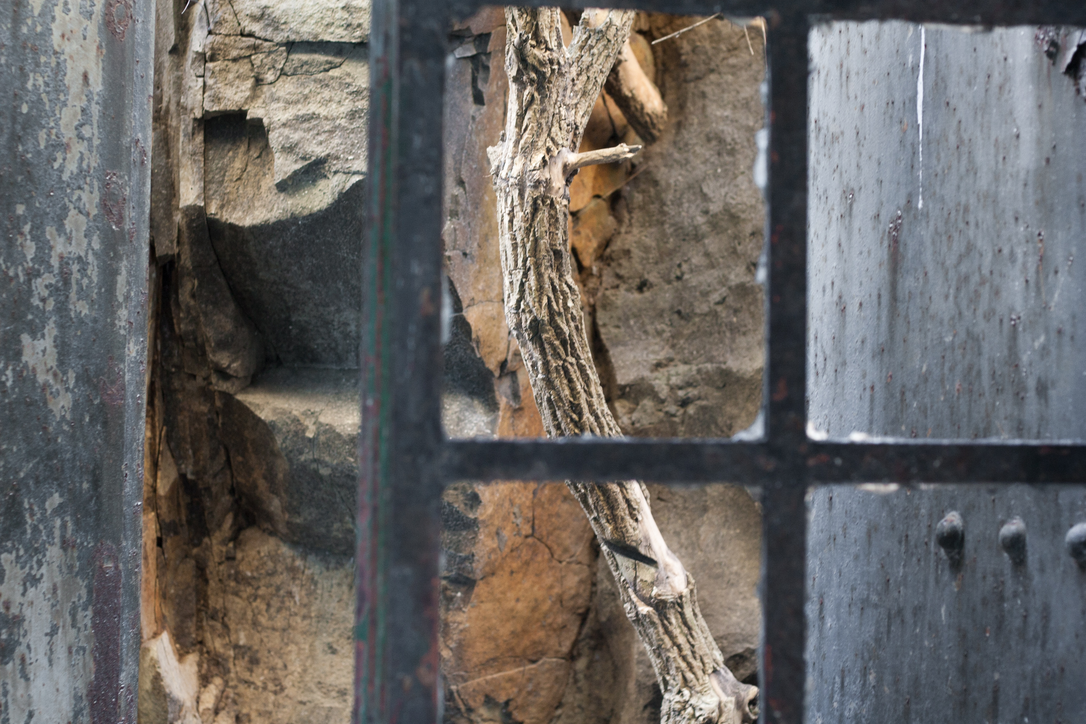 through the window