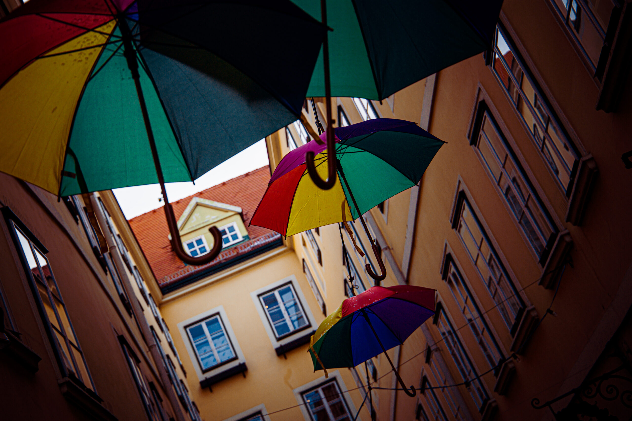 umbrella