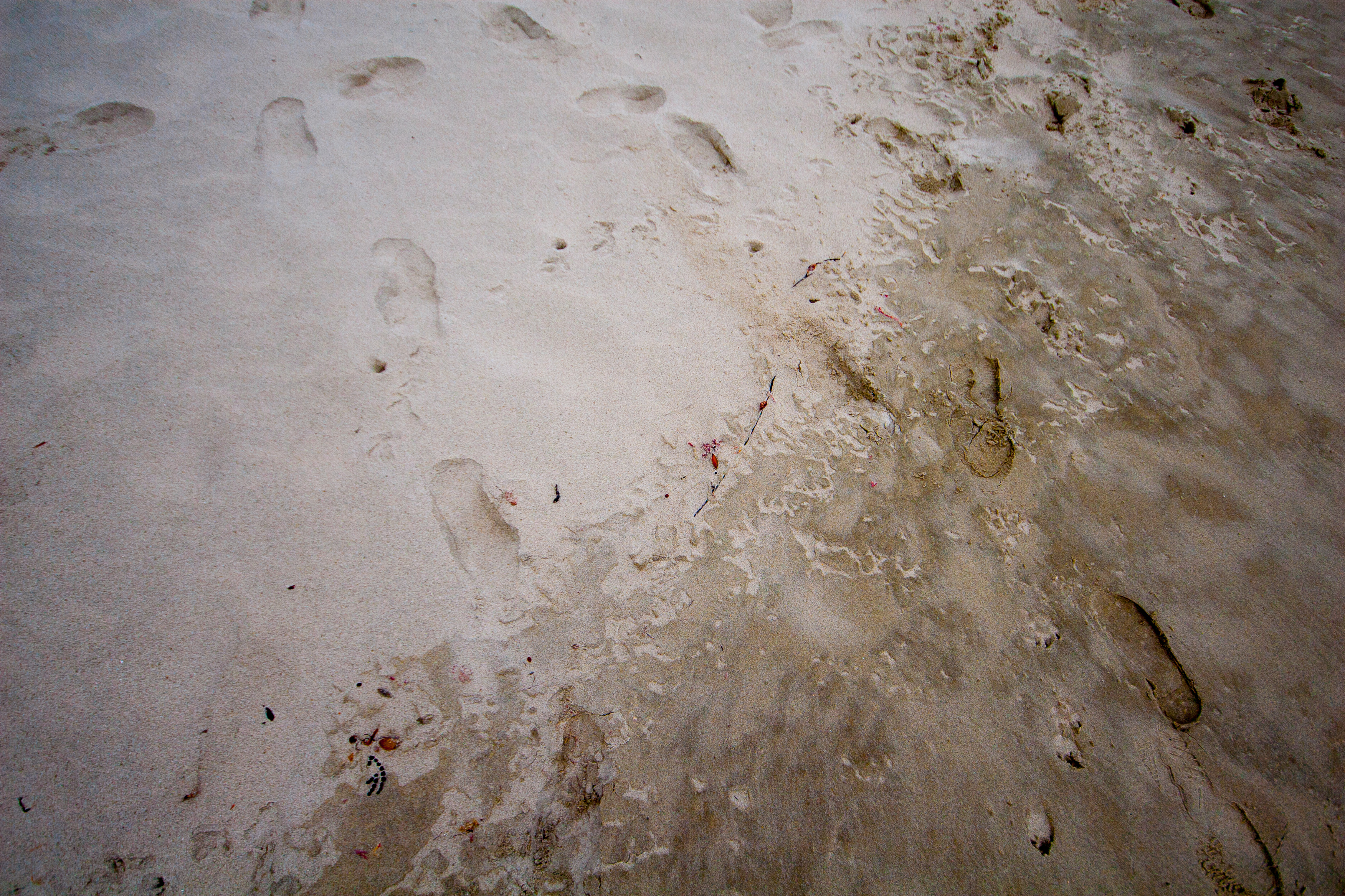 wet sand