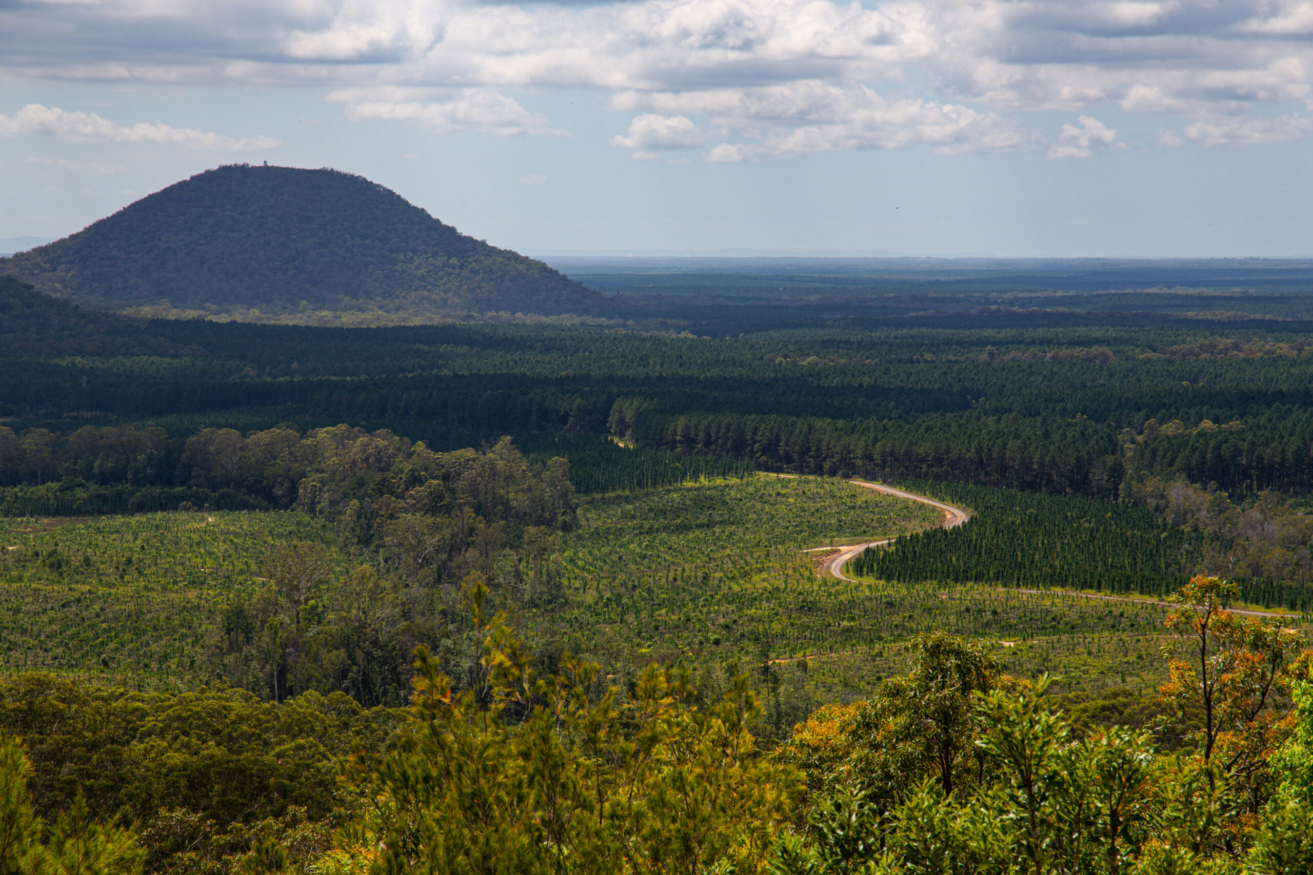winding road