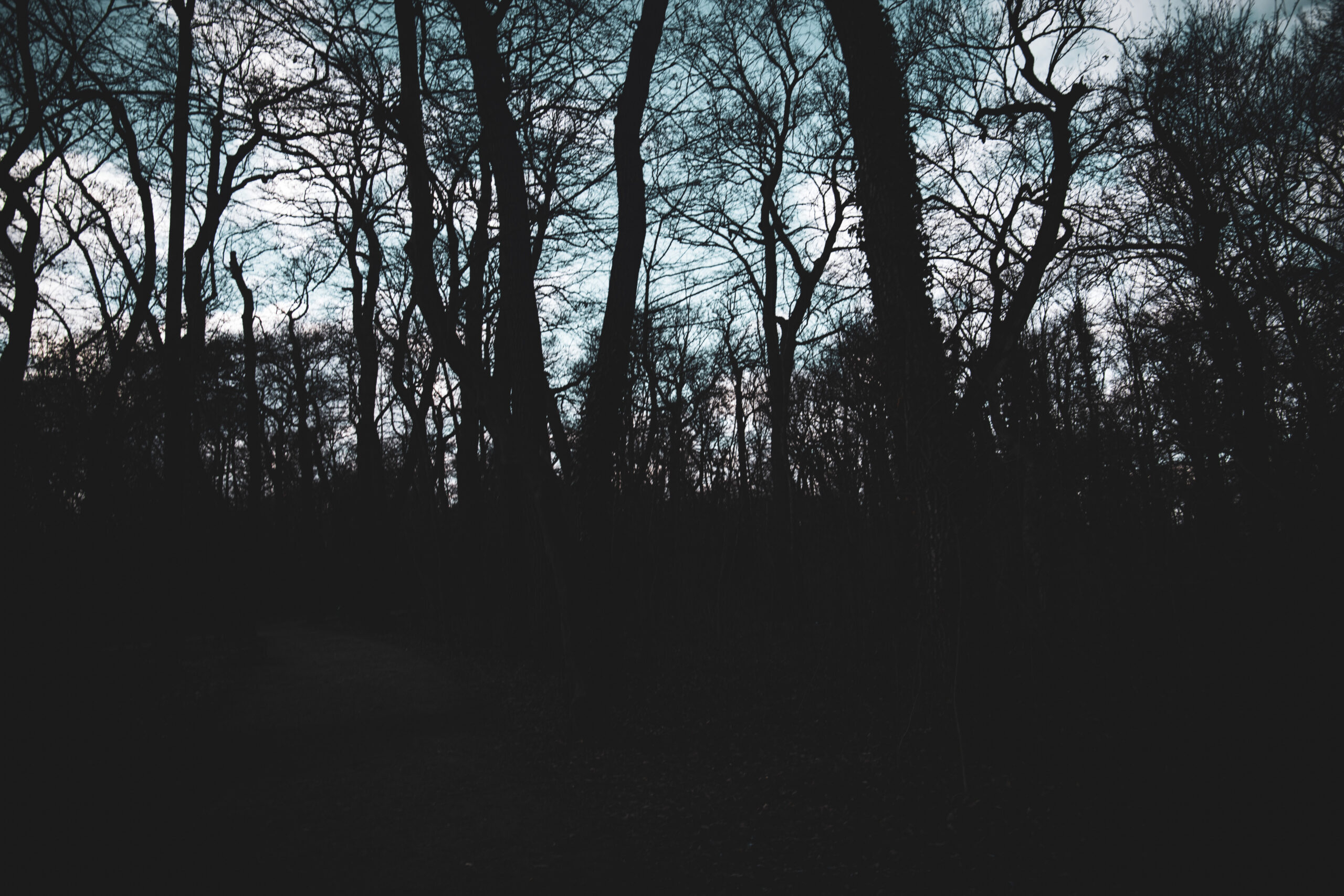 winters eve