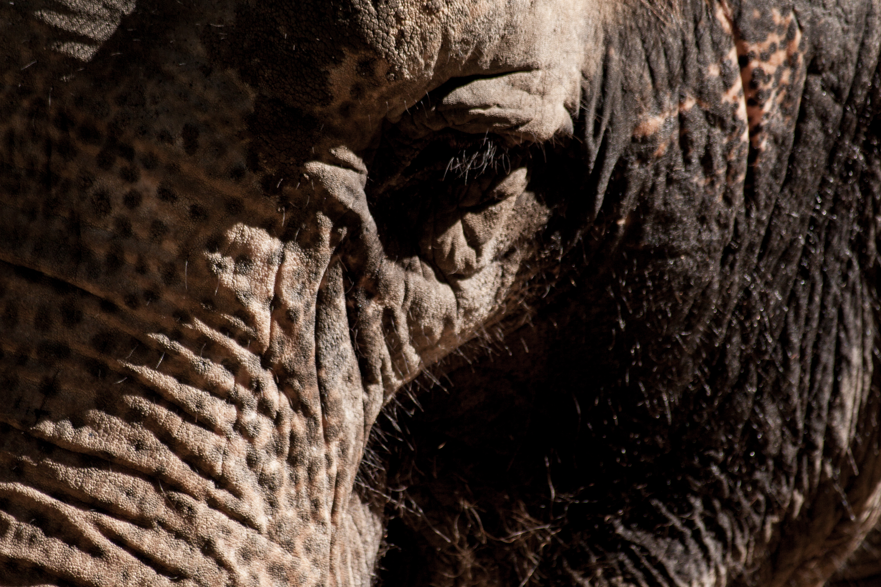 wrinkles